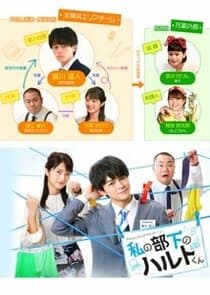 Watashi no buka no Haruto-kun thumbnail