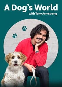 A Dog's World with Tony Armstrong thumbnail