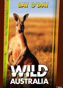 Wild Australia thumbnail