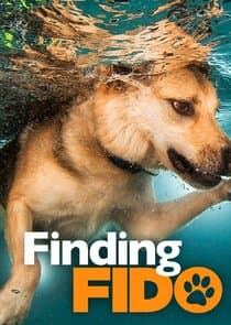 Finding Fido thumbnail
