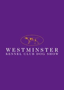 Westminster Kennel Club Dog Show thumbnail