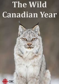 The Wild Canadian Year thumbnail