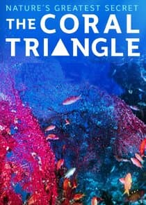 Coral Triangle thumbnail