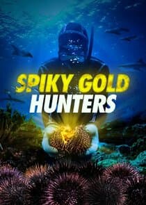 Spiky Gold Hunters thumbnail
