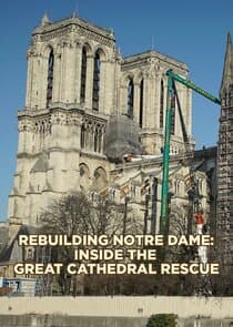 Rebuilding Notre-Dame thumbnail