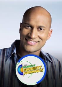 The Planet's Funniest Animals thumbnail