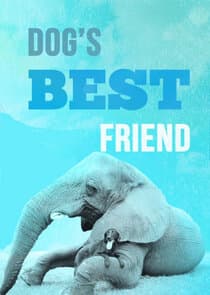 Dog's Best Friend thumbnail