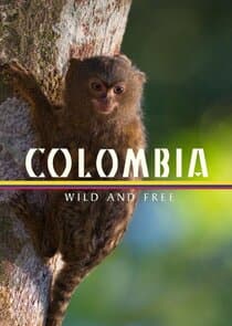 Colombia: Wild and Free thumbnail