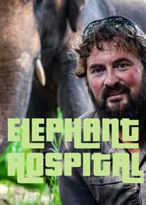 Elephant Hospital thumbnail