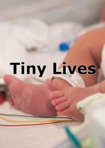 Tiny Lives thumbnail