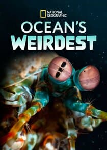 Ocean's Weirdest thumbnail