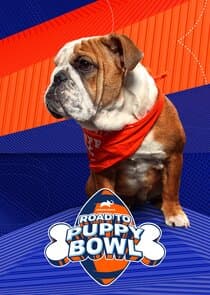 Road to Puppy Bowl thumbnail