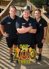 One Zoo Three thumbnail