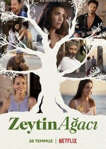 Zeytin Ağacı thumbnail