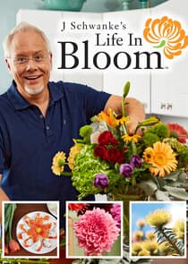 J Schwanke's Life in Bloom thumbnail
