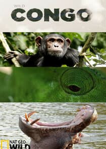 Destination Wild: Congo thumbnail