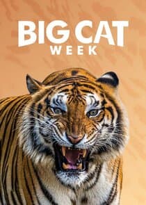Big Cat Week thumbnail