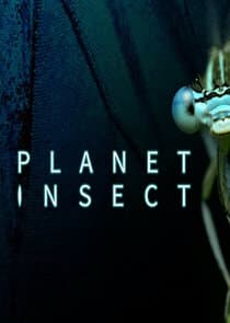 Planet Insect thumbnail