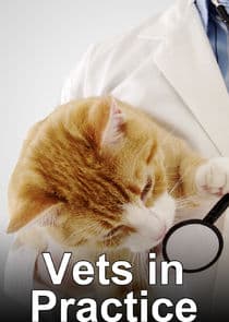 Vets in Practice thumbnail