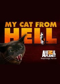 My Cat from Hell thumbnail