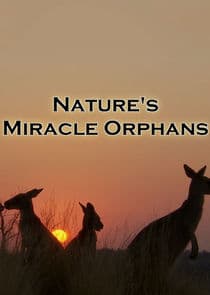 Nature's Miracle Orphans thumbnail