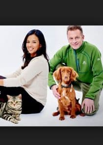 Cats v Dogs: Which is Best? thumbnail