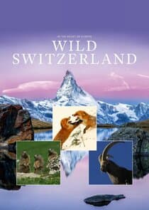 Wild Switzerland thumbnail