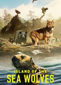 Island of the Sea Wolves thumbnail