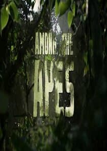 Among the Apes thumbnail