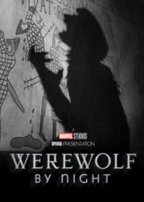 Marvel Studios' Special Presentation thumbnail