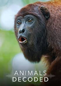 Animals Decoded thumbnail