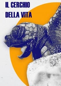 Life's Journey thumbnail