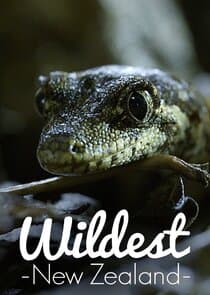 Wildest New Zealand thumbnail
