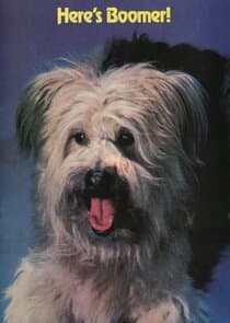 Here's Boomer thumbnail