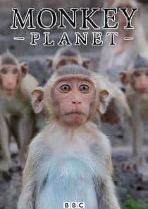 Monkey Planet thumbnail