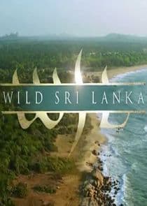 Wild Sri Lanka thumbnail