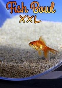 Fish Bowl thumbnail