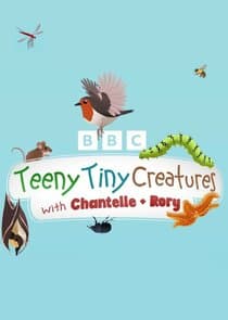Teeny Tiny Creatures thumbnail