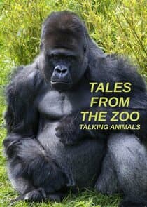 Tales from the Zoo: Talking Animals thumbnail