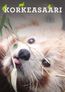 Korkeasaari thumbnail