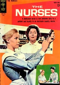 The Nurses thumbnail