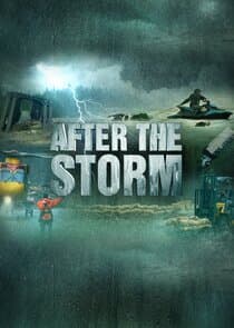 After the Storm thumbnail