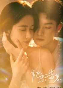 Fall in Love Again thumbnail