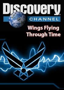 Wings: Flying Through Time thumbnail