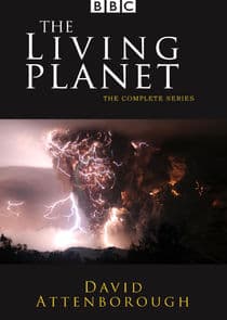 The Living Planet thumbnail