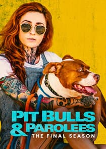 Pit Bulls & Parolees thumbnail