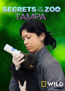 Secrets of the Zoo: Tampa thumbnail