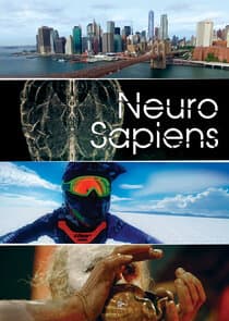 Neuro Sapiens thumbnail