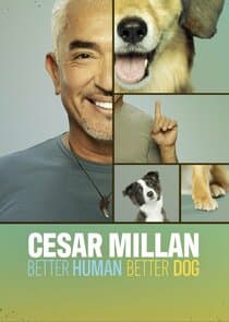 Cesar Millan: Better Human Better Dog thumbnail