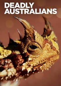 Deadly Australians thumbnail